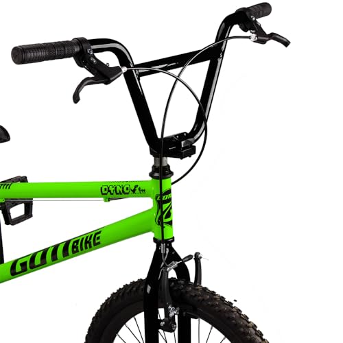 Bicicleta Infantil Aro 20 Bmx Freio V-Brake Gottbike (Verde e Preto)