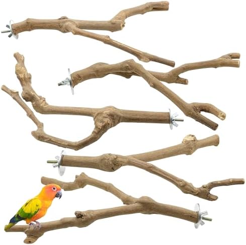 best bird perches for plum headed parakeets that will surprise you 8 Allazone 5 PCS Bird Perch Natural Grape Stick Bird Standing Stick Swing Chewing Bird Toys Natural Grapevine Bird Cage Perch for Parrot Cages Toy for Cockatiels, Parakeets, Finches