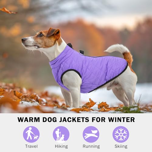 Image of SCENEREAL Winter Coat for Dogs - Warm Jacket with Built-in Harness | Warm Jacket with Built-in Harness, Waterproof, Fleece Puffer Vest, Windproof, Snow Clothes for Small to Medium Dogs