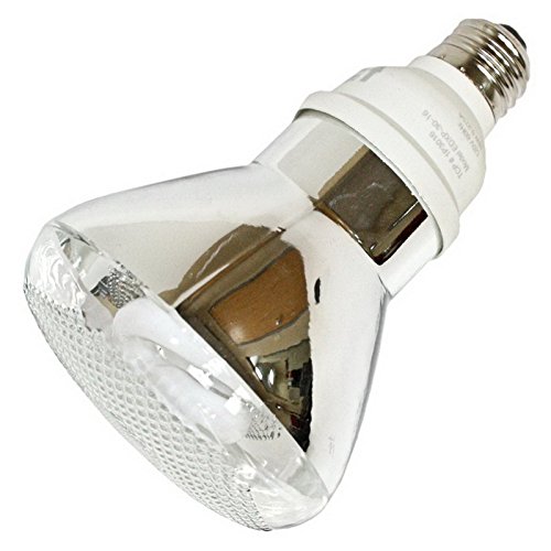 SpringLamp Compact Fluorescent Floodlight, 16 watt, 120 volt, PAR30