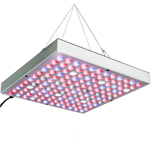 Brite Labs Lampe Horticole LED Croissance Floraison - Cultivez des Plantes Saines à L'intérieur - Panneau LED Horticole - Lampe UV Plante Interieur pour Semis - Lampe de Culture LED Grow Light Indoor
