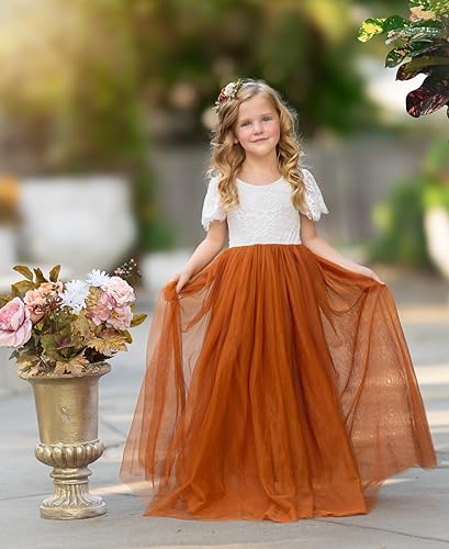 Flower Girl Dress Cap Sleevees Toddler Girls Dress Lace/Tulle First Communion Dress for Wedding Birthday Party3