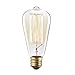 Kiven Vintage Edison Bulb Tungsten Wire - 110 Volts - Dimmable - 230 Lumens -2200K Warm Temperature Antique Light Bulb (60w)