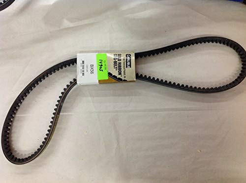 Carlisle BX56 Gold Ribbon Cog-Belt