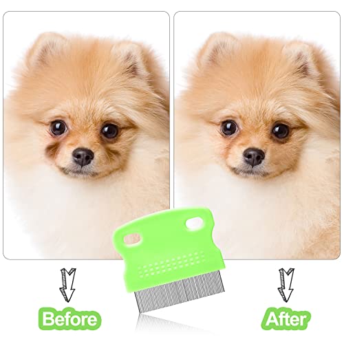5-Pieces-Dog-Eye-Combs-Tear-Stain-Remover-Combs-Pet-Grooming-Comb-for-Small-Dogs-Gently-Removing-Eye-Mucus-and-Crust-Green-Black 5 Pieces Dog Eye Combs Tear Stain Remover Combs Pet Grooming Comb for Small Dogs Gently Removing Eye Mucus and Crust (Green, Black) - Image 5