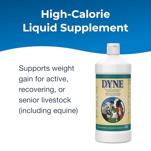 Image of PetAg Dyne High Calorie Liquid Nutritional Supplement for Livestock - 32 oz - Includes Added Vitamins - Excellent for Underweight, Stressed, or Recovering Animals