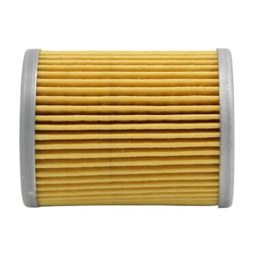 Filtre à huile premium pour moto Suzuki LTF300F et Ozark