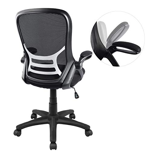 Office Chair, Ergonomic Desk Chair, Mesh Computer Chair Adjustable with Flip-up Arms, Black