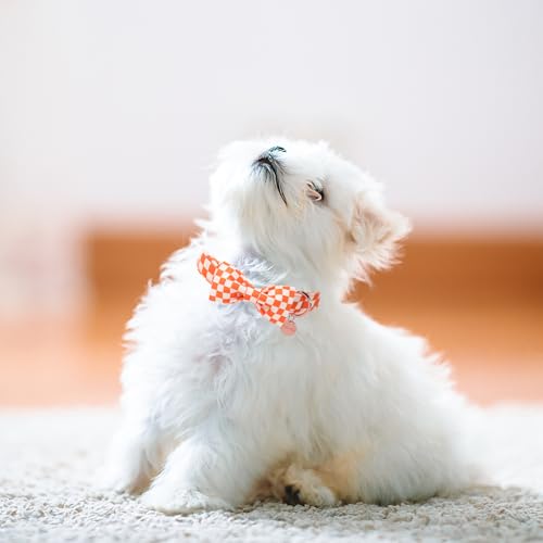 Image of Fall Dog Collar with Bow Tie, Orange Plaid Bowtie Dog Collar, Autumn Bowtie Collars for Puppy Boy Girl Dogs, Comfortable Cotton Dogs Collars with Metal Buckle