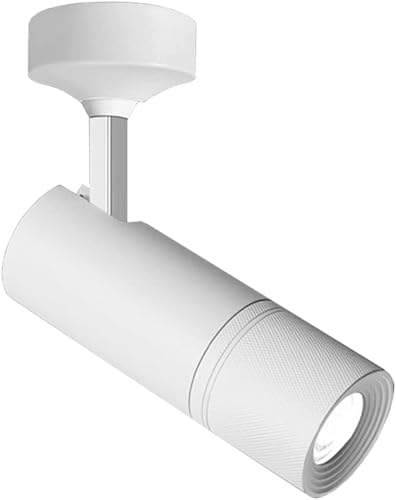 BRILLRAYDO Foco LED COB de techo de 20 W con ángulo de haz ajustable, kit de iluminación de imagen con apertura y cabezal de enfoque continuo para