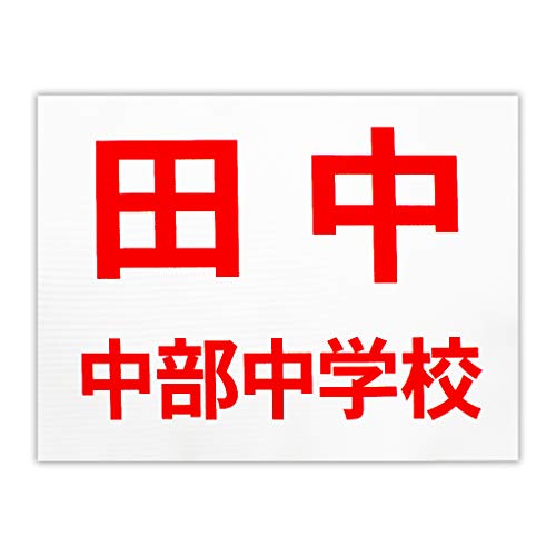 [bP _ 2iCAEg vg TCY30cm×25cm J[   ۃSVbN