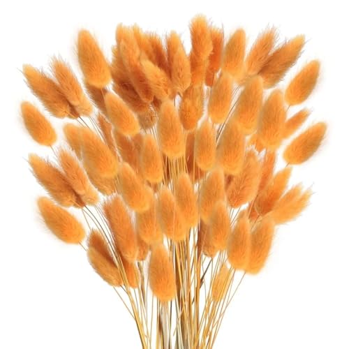 Dried Pampas Grass Décor 120Pcs 45cm Flores Secas