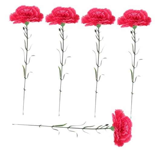 Cabilock 5 Piezas Clavel De Simulación Tallos De Clavel De Plástico Selecciones De Clavel De Seda Selecciones De Claveles De Seda Clavel Artificial Sola Rama Pétalo El Plastico Madre