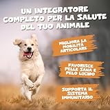 Pets Purest B0FK44WBR3 lato 3