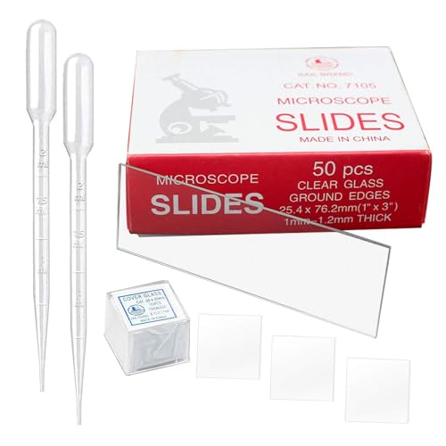 Lames de microscope avec lamelles et pipettes pour observation et laboratoire