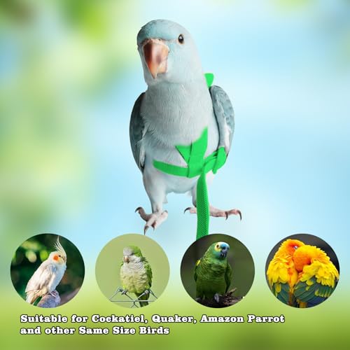 Image of Adjustable Bird Leashes and Harnesses, Bird Nylon Harness with Cute Wing for Parrots, Pet Bird Accessories, Bird Leash for Hang Out, Suitable for Cockatiel, Quaker, Amazon Parrot and Same Size Birds