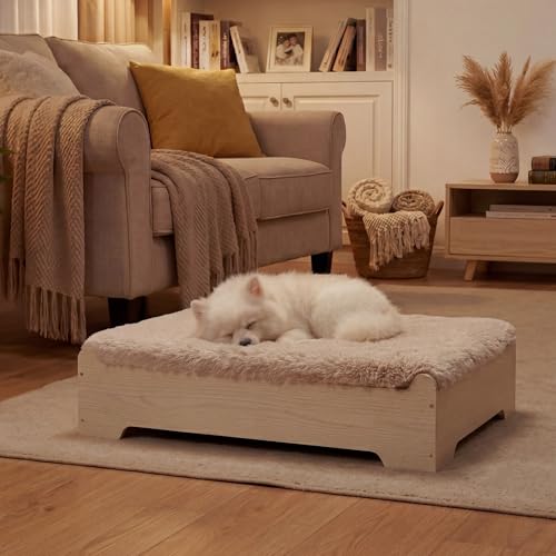 Elevated Dog Bed with Removable Washable Cover