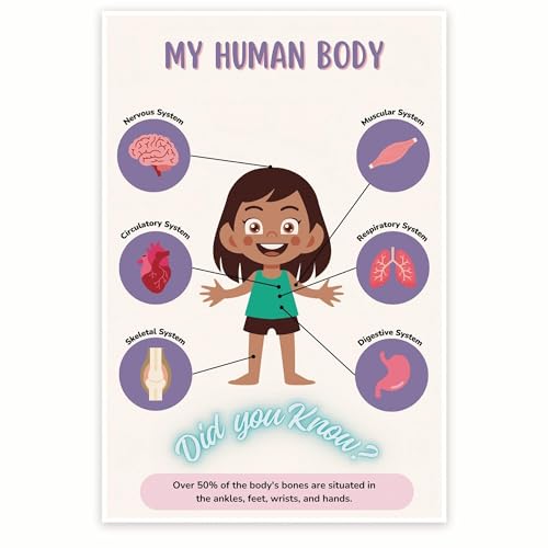 Anatomie pour enfants poster encadré pour éviter les murs vides et tristes