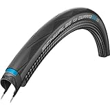 Schwalbe