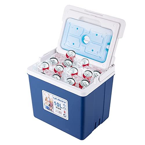 Insulated Portable Cooler with Ice Pack for Outdoors