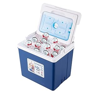 11Qt Insulated Portable Cooler Leak-Proof Ice Chest Lunch Box Hard Coolers with Extra Ice Pack for BBQ, Camping, Pincnic