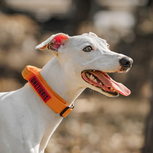 OneTigris Hunde Halsband mit Metallschnalle für Hunde Orange S