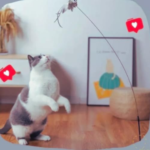 Brinquedo para Gato Varinha Interativo Com Ventosa