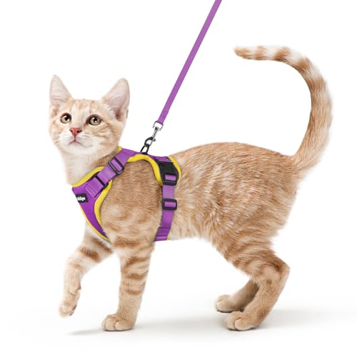 Image of rabbitgoo Cat Harness and Leash Set, Escape Proof Vest, Purple & Yellow | Soft Breathable Mesh, Easy Adjustable Fit, Snap Buckles, Sturdy Clip, Reflective Strips, for Average Cats Walks, S