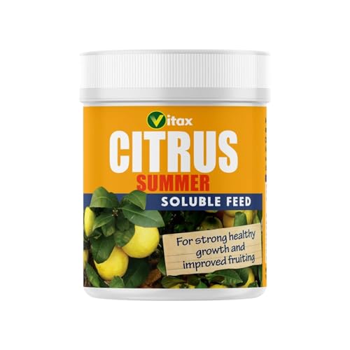 Vitax Citrus Feed for Summer Soluble Plant Feed for Healthy Fruitful Citrus Trees Prevents Leaf Fall Boosts Growth & Fruit Production Ideal for Indoor & Outdoor Citrus Plants- 200g Tub