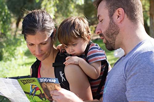 Piggyback Rider Scout Model - Child Toddler Carrier Backpack For Hiking Trails, Camping, Fitness Travel - Black #TOP6