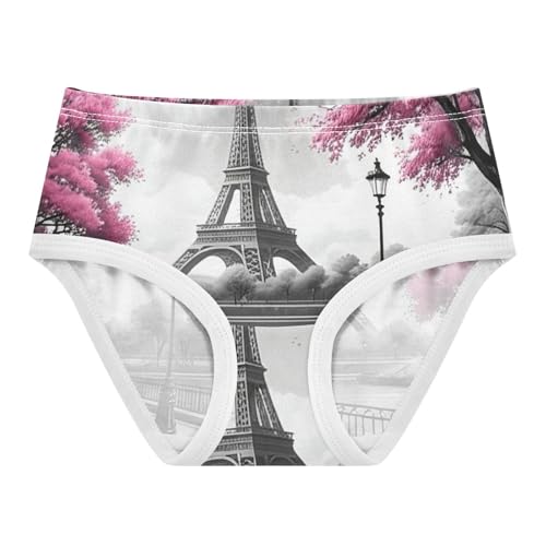 Girls Underwear Toddlers 2t Cotton Girl Panties Cute Durable Kids Briefs Undies Eiffel Tower Painting Paris Grey