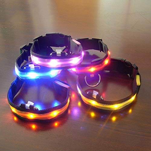 MoonyLI Collare per Cani LED Collare per Cani di