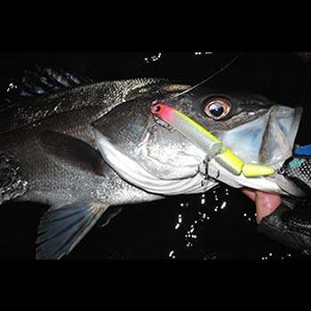 Amazon | ロンジン メガプレックス 029：チャートパールオレンジ