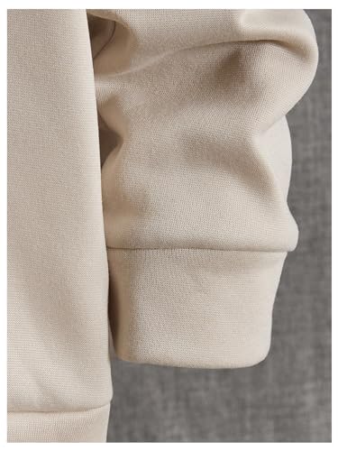 Verdusa Men's Crew Neck Sweatshirt Color Block Long Sleeve Pullover Tops Casual Daily Streetwear4