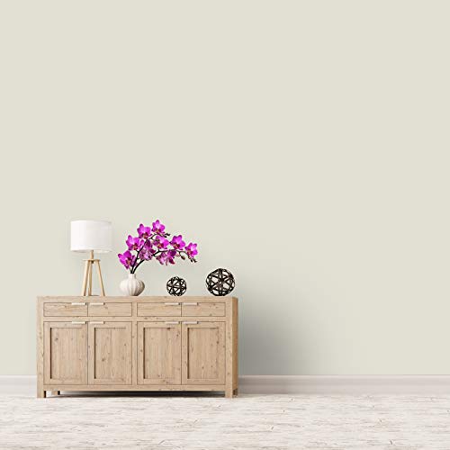 Montage Signature Interior/Exterior Eco-Friendly Paint, Snow White - Low Sheen, 5 Gallon - Thumbnail 2