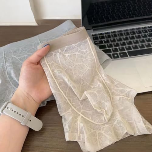 Quick-drying Ice Silk Underwear Mens Ultra-Thin Semi See Through Ice Silk Viscose Comfortable Soft Seamless Trunks Underwear4