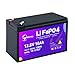 12V 10Ah Lithium Battery, Rechargeable LiFePO4 Battery with Built-in 10A BMS Board, 5000+ Deep Cycles, Higher Energy Density, for RVs, Van, Camping, Marine, Trolling Motor