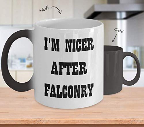 Falconry Color Changing Mug Hobbies I'm Nicer After Falconry Funny Gifr For Dad,ap0920