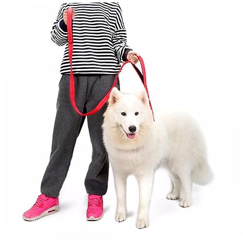 Correas Perros Medianos Cadena Marca POPETPOP