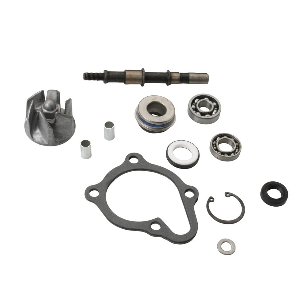 Pompa Acqua Gruppo Pompa Per kit pompa acqua Kymco Repair | Ego BW Gran Dink People S X-Citing 250cc 300cc 100110460 Ego250 Dink250