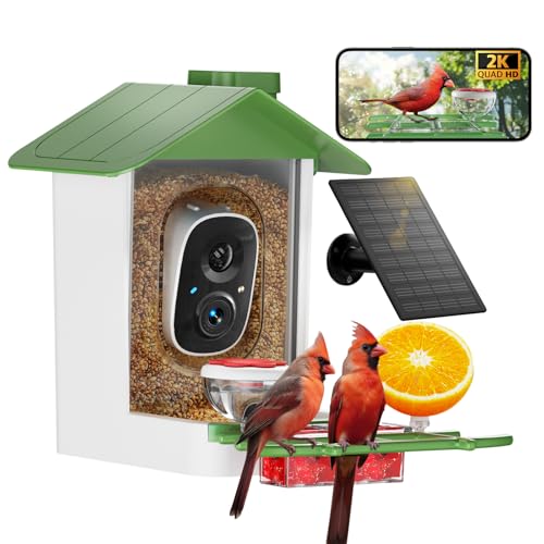 Mangeoire oiseaux caméra 2K visionnez la faune du jardin - 2