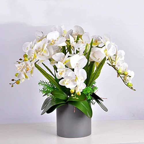 Juego de flores artificiales, flores artificiales de Phalaenopsis con maceta, orquídea artificial grande en jarrón, flores falsas para arreglos de sala de estar, hermosas flores artificiales y V, D (C