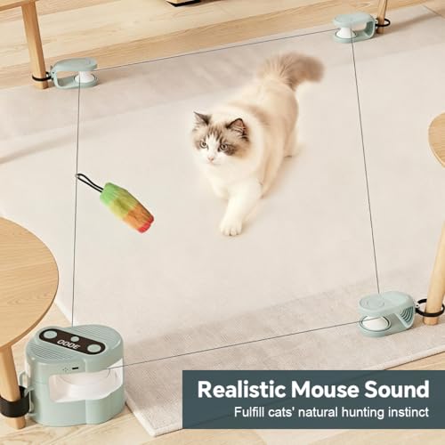 Image of Qpets Interactive Cat Toy with Bird Sound DIY Track Play for Indoor Cats