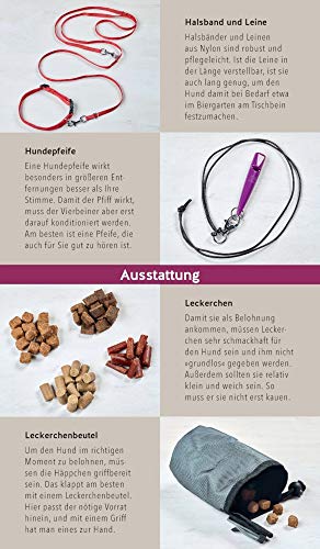 Hunde-Gassi-Box: Für ein entspanntes Zusammenleben! Plus Täschchen für Gassi-Beutel (GU Hundeerziehung)