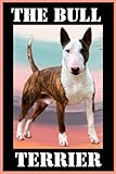  The Bull Terrier: The Bull Terrier Notebook / The Bull Terrier Journal / 100 Ruled Line Pages