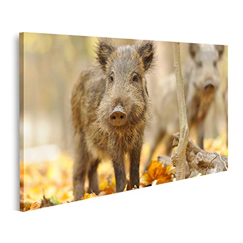 islandburner Tableau sur toile Sanglier Automne Forêt Cadre Affiche Poster Murale Tableaux