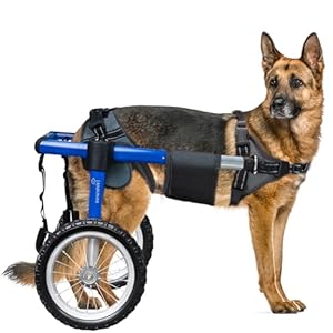Dog Wheelchair for Back Legs, Dog Wheelchair with All-Terrain Tires & Durable Bearings, Large Dog Wheelchair for Back Legs, 55.1-88.1 lbs (XL)