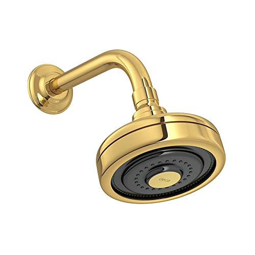 Deca Ducha Redonda de Parede Gold Acqua Plus