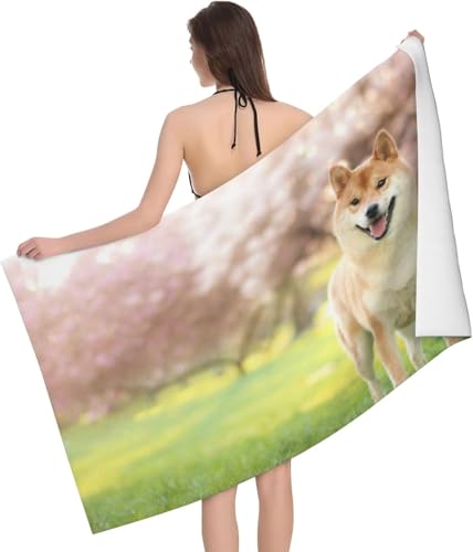 oX^I Č   ΂ Aj ^I z }CNt@Co[ Gǂ LN^[   RۖhL rbO ƒp Ɩp lC v[g