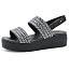 Black Sparkle